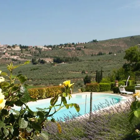 Fiordaliso *